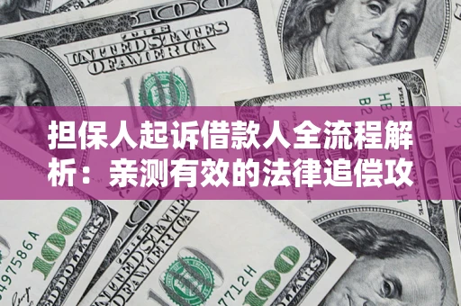 武汉担保人起诉借款人全流程解析：亲测有效的法律追偿攻略