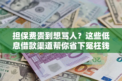 武汉担保费贵到想骂人？这些低息借款渠道帮你省下冤枉钱