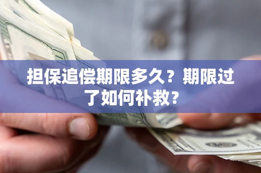 武汉担保追偿期限多久？期限过了如何补救？