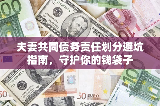 武汉夫妻共同债务责任划分避坑指南，守护你的钱袋子