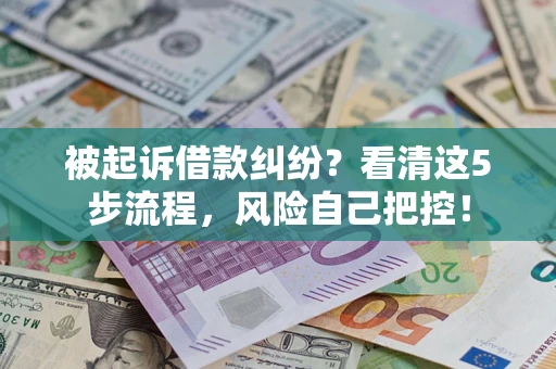 武汉被起诉借款纠纷？看清这5步流程，风险自己把控！