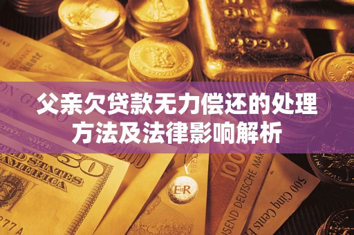 武汉父亲欠贷款无力偿还的处理方法及法律影响解析