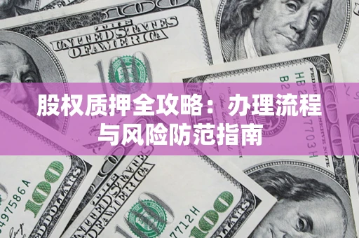 武汉股权质押全攻略：办理流程与风险防范指南